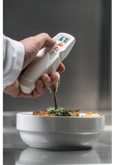 Testo 205 Et Gıda Ph Ve Sıcaklık Ölçer