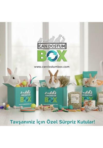 Candostumbox Evcil Hayvan Hediye Kutusu Kedi Köpek Tavşan Kuş B