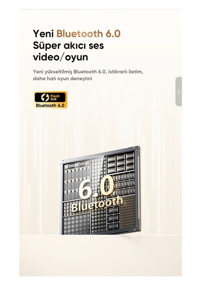 Biriva TP29 Bluetooth 6.0 AI Dil Çevirili Kulak İçi Kulaklık