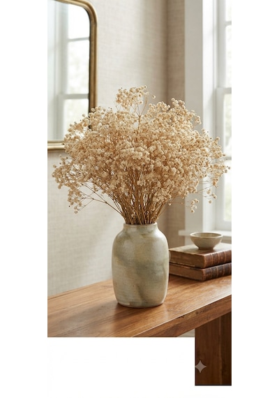 Şoklanmış Kurutulmuş Cipso Çiçeği 1 Demet 50-60gr - 35-45cm Krem