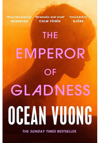 The Emperor Of Gladness Vintage Books Uk
