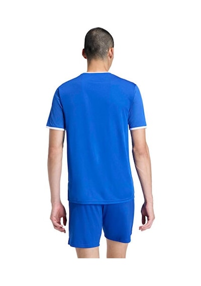 Adidas Ent26 Gfx Jsy Erkek Futbol Forması Kb3979 Mavi