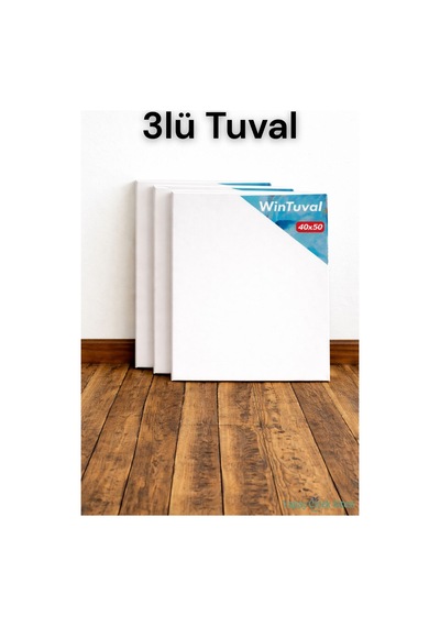 WinTuval Standart Tuval 40x50 3lü
