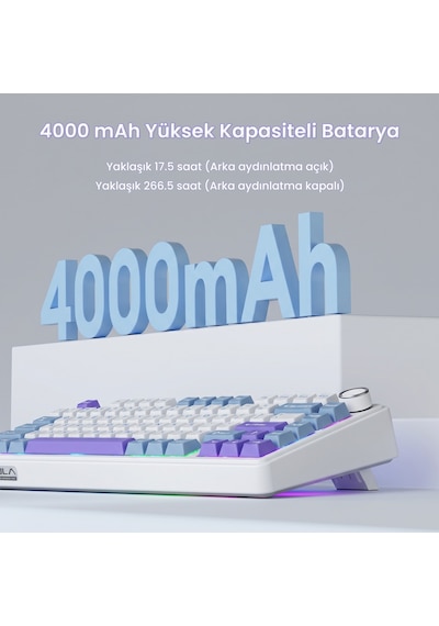 Aula F75 Mekanik Rgb Tkl Star Vector Switch Kablosuz Makrolu Hot Swap Klavye Mor