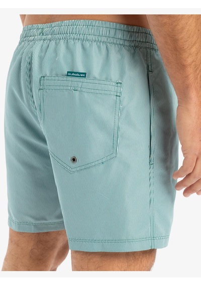 Quiksilver Everyday Deluxe Volley 15 Erkek Deniz Şortu-29829 Yeşil