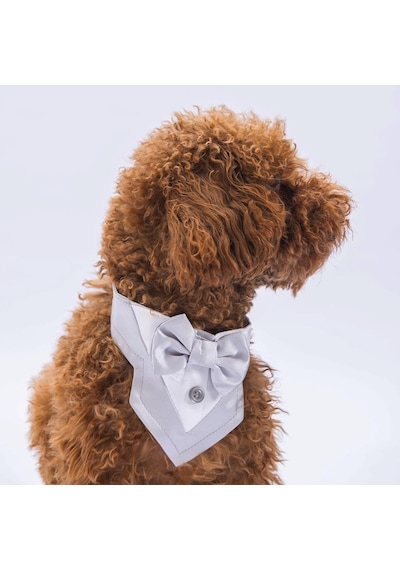 Pawstar Gri Smokin Kedi Köpek Fuları Pet Bandanası