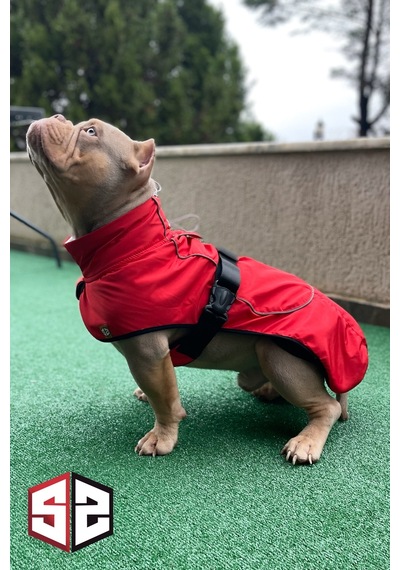 Salya Store Büyük Ve Orta Irk Su Geçirmez Köpek Montu Bkm-101