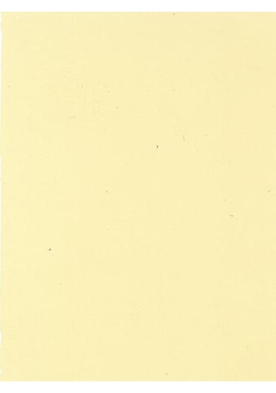 Wagner Boya Innenfarbe Silikonlu Iç Cephe Boyası 7,5 Lt