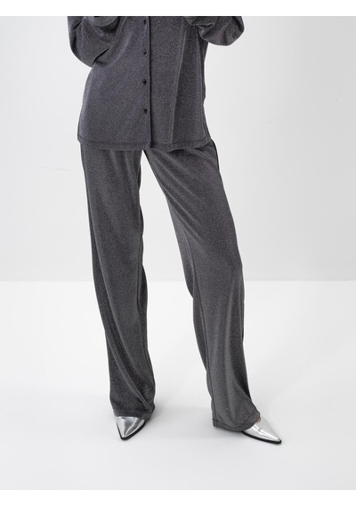 Xint Antrasit Işıltılı Sim Detaylı Regular Fit Pantolon 470454