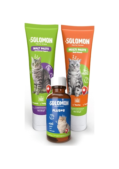 Kedi Süper Set Muti Paste & Malt Paste & Plus B