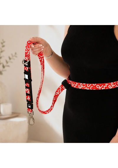 Gobypet Airmesh Köpek Gezdirme Boyun Tasma Seti Xs - Küçük Irk Köpek Ve Kedi Gezdirme Tasması Nefes Alabilen File Çok Renkli