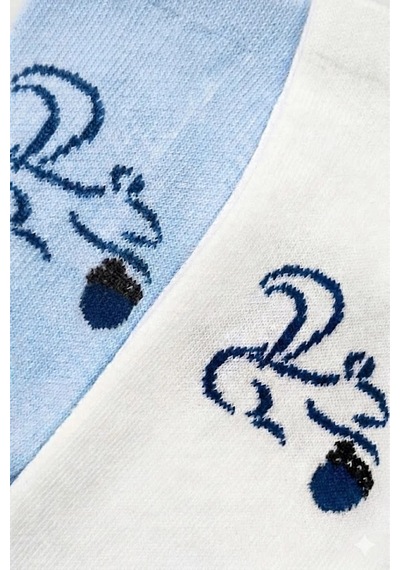 Cocole Socks Erkek Çocuk Patik Çorabı 2 Li Set Beyaz & Mavi Sincap Desenli Çok Renkli