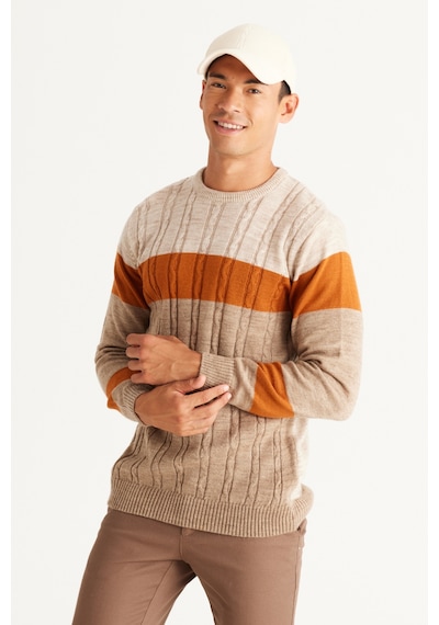 AC&Co / Altınyıldız Classics ERKEK BEJ-VIZON Standart Fit Normal Kesim Bisiklet Yaka ColorBlok Desenli Triko Vizon
