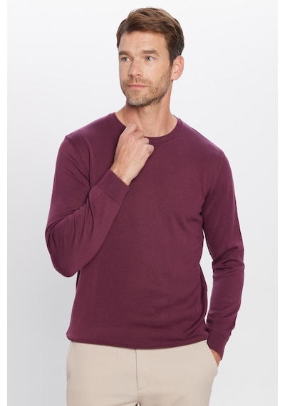 Tudors Erkek Standart Fit Normal Kesim Bisiklet Yaka Bordo Triko Kazak-25880