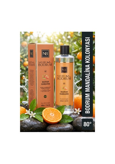 Deluxe Favoriler 6'lı Kolonya Seti 400 Ml Dökmeli Kapak 80 Set
