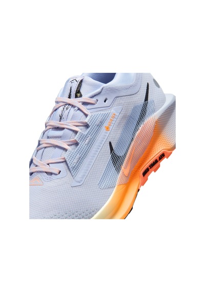 Nike Pegasus Trail 5 Gore-tex Erkek Koşu Ayakkabısı Dar Kalıp Fq0908-011 Mavi - 922398676 Mavi