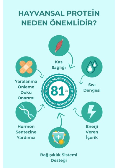 Petline Clever Small & Mini Adult Kuzu Etli Küçük Irk Yetişkin Kuru Köpek Maması 2 x 3 KG