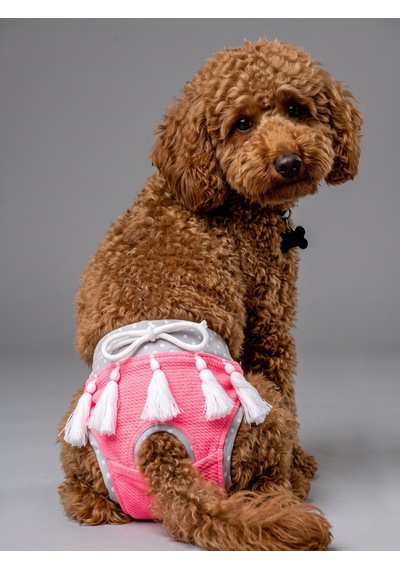 Neo Pink Dişi Köpek Regl Külotu Köpek Donu Köpek İç Çamaşırı Pet Kıyafet Küçük Irklar İçin