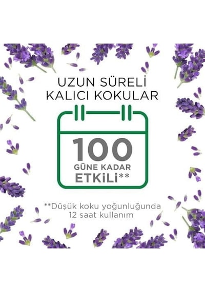Air Wick Elektrikli Oda Kokusu Cihaz + Yedek Şişe Lavanta