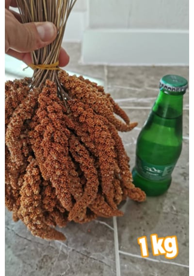Petdoys Kızıl Dal Darı 1 Kg Muhabbet Kuş Yemi