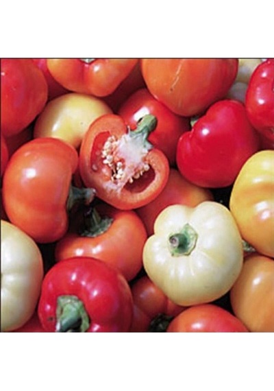 Tohum Dünyam Paprika Çok Renkli Biber Tohumu