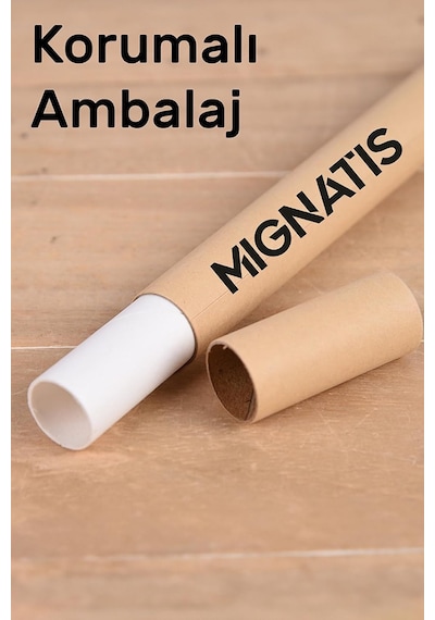 Mıgnatıs Yılbaşı Çam Ağacı Vitrin Sticker, Kendinden Yapışkanlı Folyo, Noel Temalı Kapı Ve Cam Süslemesi 40x Çok Renkli