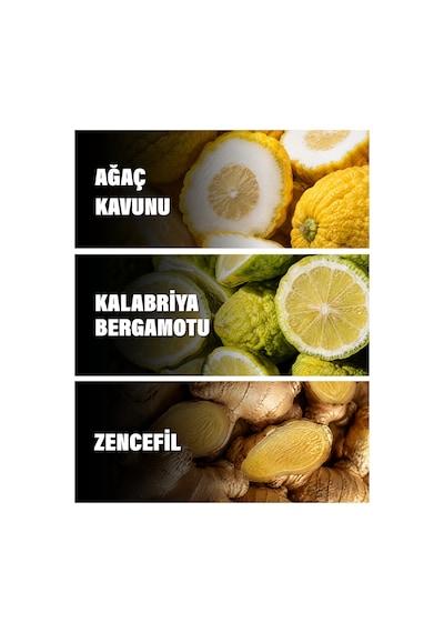 Imagınatıon 50 Ml Erkek Parfüm Narenciye / Turunçgil