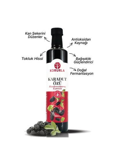 Karadut Özü 700 Gr Yoğun Kıvam