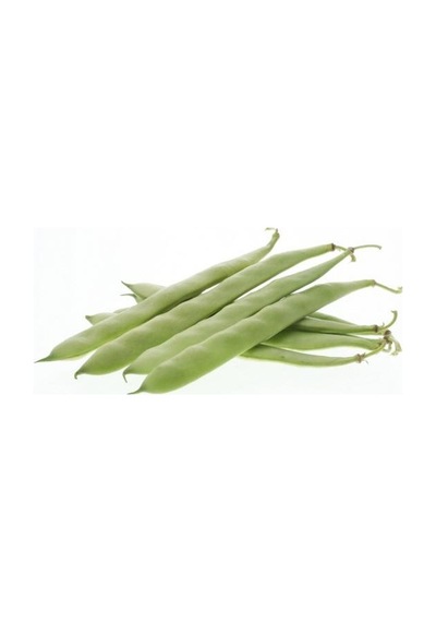 Seminis Ribera Oturak Fasulye Tohumu 1 Kg
