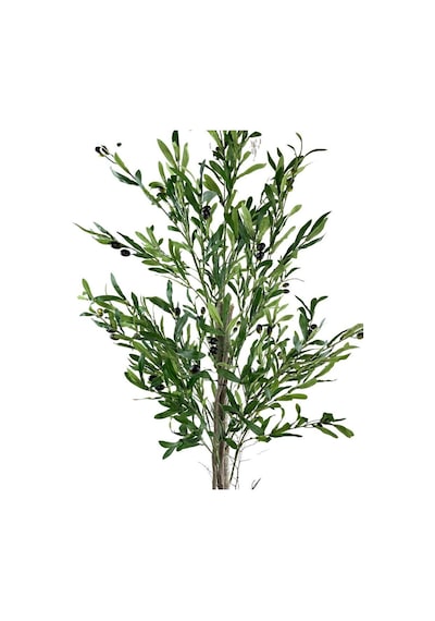 Yapay Zeytin Ağacı 160Cm Tek Gövdeli Çalılı Doğal Gerçek Görünüml