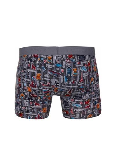 Doreanse Erkek Modal Renkli Baskılı Torbalı Normal Paça Boxer 1816 Çok Renkli