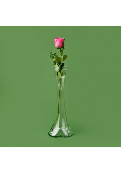 Time Islak Gül Dalı - Asorti - 50 Cm Çok Renkli