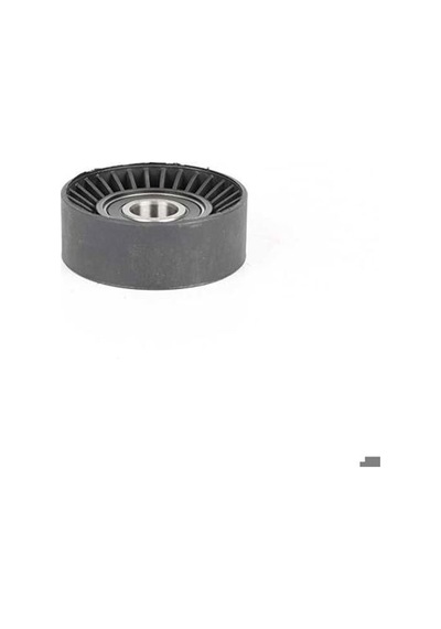 Bsg 40-615-009 V Kayış Gergi Rulmanı Accent Adm / Santafe