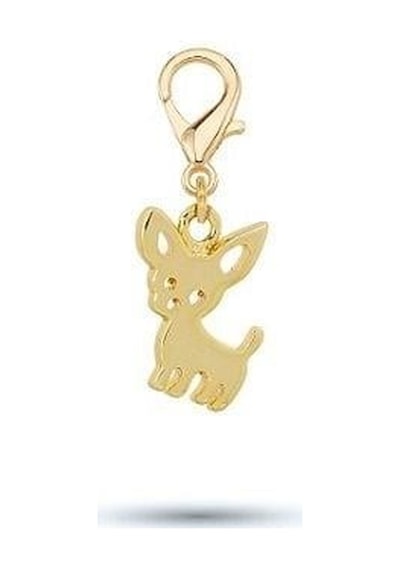 Chihuahua Şivava Model Tasma Aksesuarı Renkli