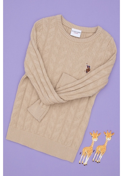 U.S. Polo Assn. Erkek Çocuk Kum Basic Bisiklet Yaka Kazak 50288889-VR085 U.S. Polo Assn. Erkek Çocuk Kum Basic Bisiklet Yaka Kazak 50288889-VR085