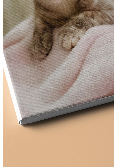 Webstyle Sayılarla Boyama Seti Kasnaklı Minik Kedi 1 50x65 Cm