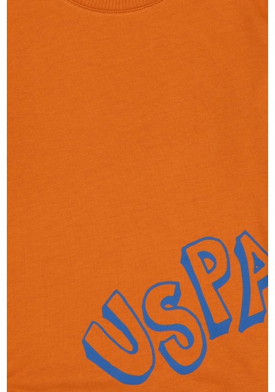 U.S. Polo Assn. Erkek Çocuk Bakır Bisiklet Yaka Basic Sweatshirt 50313979-VR182