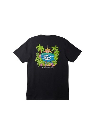 Quiksilver Aqyzt09543 Island Sunrise Moe Erkek Tişört 001