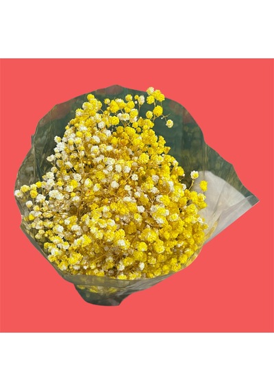 Şoklanmış Kurutulmuş Cipso Çiçeği 1 Demet 50-60gr - 35-45cm Sarı