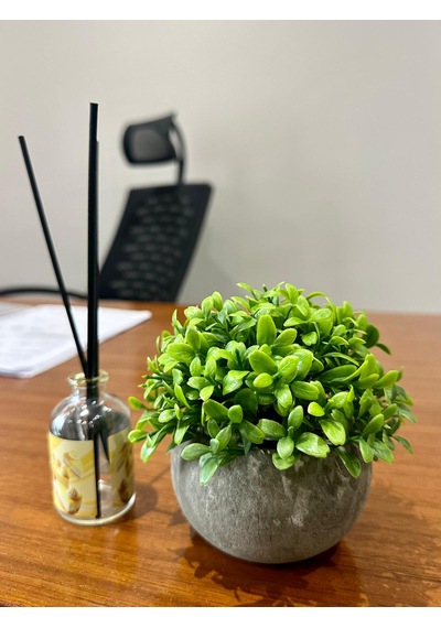 Yapay Şimşir Boxwood Çiçeği Premium Antrasit Saksılı Ofis Ev Dekorasyonu Yeşil