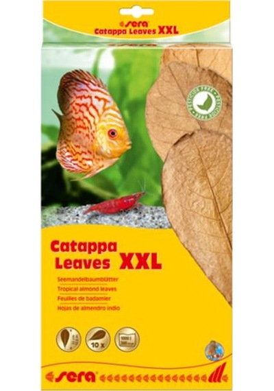 Sera Catappa Yaprağı Xxl 32 Cm 10'lu Paket