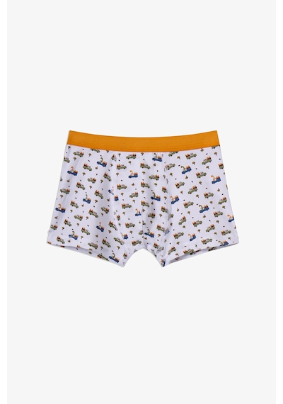 Penti Haki Erkek Çocuk Dino in The Field 3'lü Boxer
