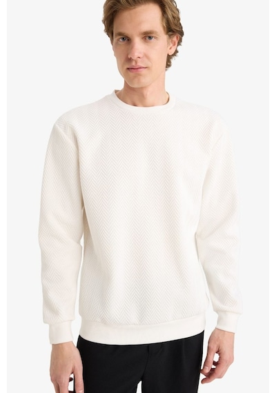 Defacto Regular Fit Bisiklet Yaka Sweatshirt F9854ax26spwt32 Beyaz-wt32