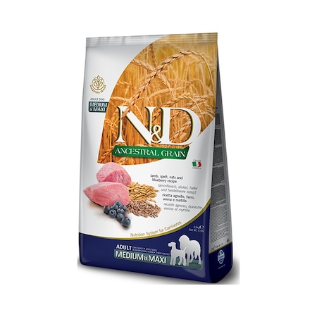 N&D Düşük Tahıllı Kuzu Etli Yaban Mersinli Orta ve Büyük Irk Yetişkin Köpek Maması 12 KG