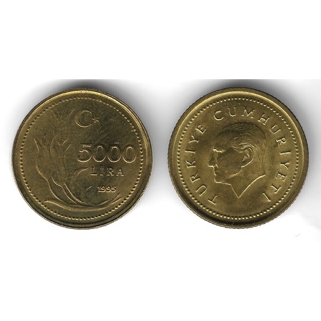 1995 Yılı Tedavül 5000 Lira Çil