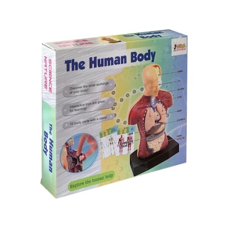 Maket İnsan Vücut Seti The Human Body Kare Kutu