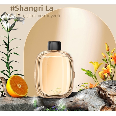 Mioji Mio Smell 2x Aromaterapi Yedek Oda Kokusu - Shangri-La Kokusu (1 Adet)