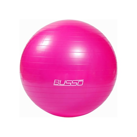 Busso Pilates Topu 65 CM Fuşya