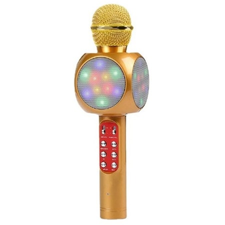 Ws-1816taşınabılır Karaoke Mikrofon El Kablosuz