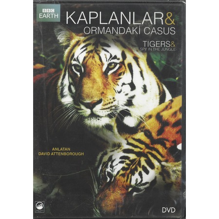 Tigers Spy In The Jungle Kaplanlar Ormandaki Casus Bbc Belgesel